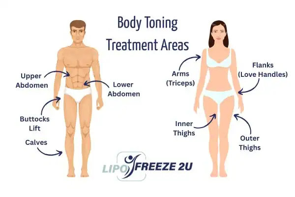 Graphic showing where you can have Body toning Treatment Stourbridge on your body